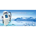Máquina de congelação gorda da beleza da perda de peso de Cryotherapy